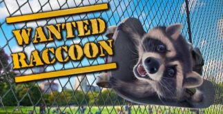 Wanted Raccoon Télécharger