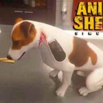 Animal Shelter Télécharger